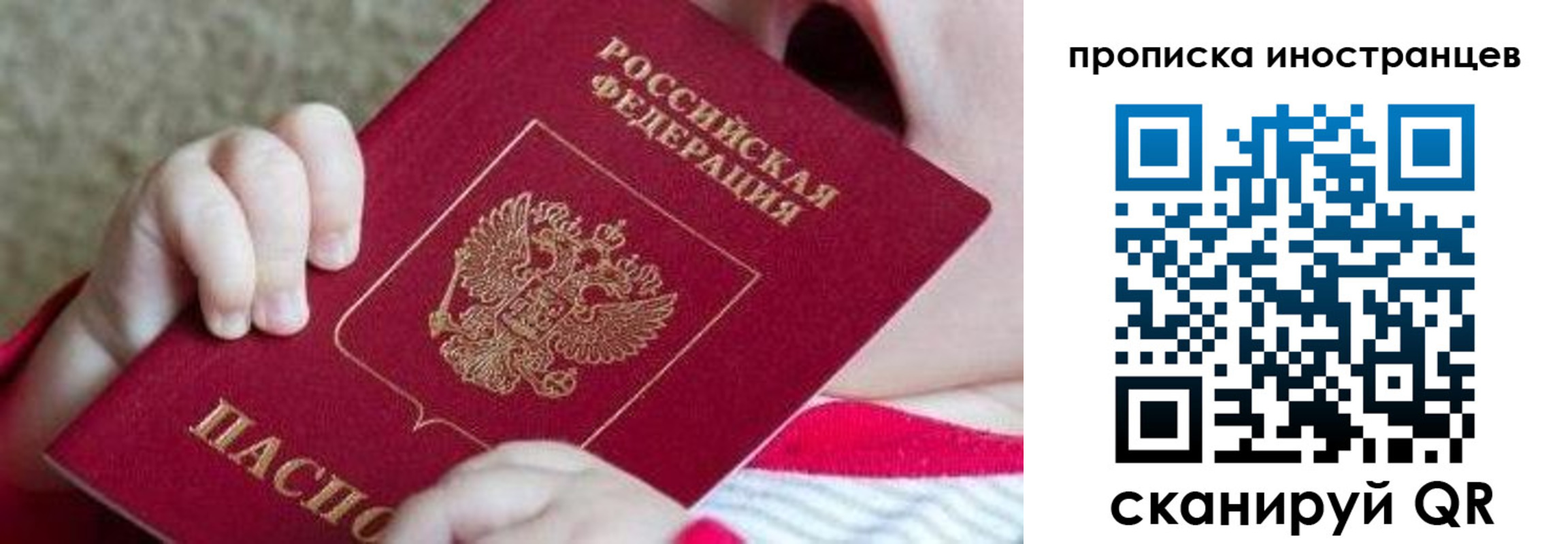 временная регистрация поиск в Курске